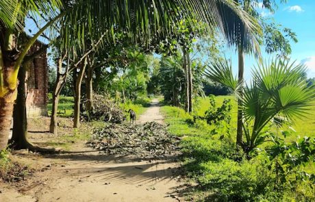 למה השקט של חופשה בכפר נופש הוא בדיוק הרעש שאתם צריכים
