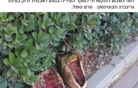 כשאבא ואמא בני דודים – וגרים בגבעת שמואל