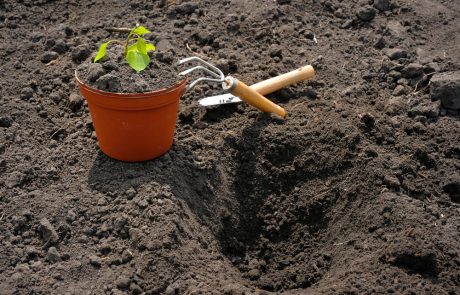 שעות לאחר שחבריהם יצאו לנטיעות – מאות חניכי בני עקיבא בגבעת שמואל עדיין ממתינים להסעות