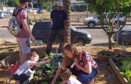 צומחים מהמשבר: תושבי העיר ניצלו את תקופת הקורונה לשתילת ירקות ועצי נוי בגינה הקהילתית בעיר